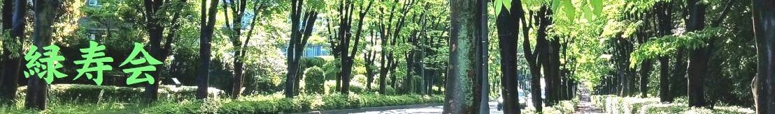 header-04